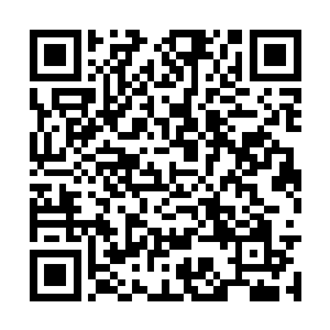 娃娃果在出生之际也是能量和活力都最充沛的时刻二维码生成