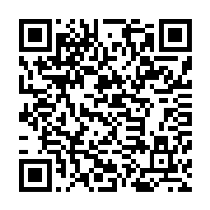 娜塔莎娴熟的给他裹了一个个美元子弹插在皮带上和内衬里二维码生成