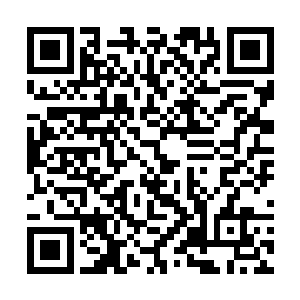 娜塔莎果然就穿着喷薄欲出的健身胸衣和紧身过膝裤二维码生成