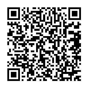 娜塔莎都跃跃欲试的开始分发加拿大元零钞给大家准备下去消费了二维码生成