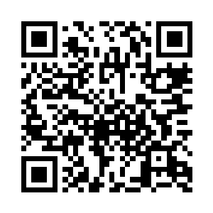 婚纱上所有纯手工缝制上去的珠宝二维码生成