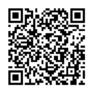 婢女偶尔为读书读疲乏了的王妃清洗那双白莲玉足时二维码生成