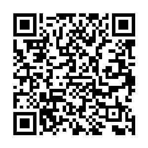 媒体和媒体和舆论像铺天盖地的蝗虫一样笼罩在凯文家上空二维码生成