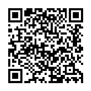 媚后和阳一是准备一开始让秦宇迎战其他峰的传奇宗师二维码生成