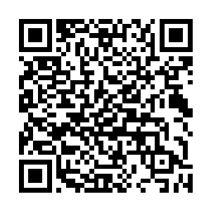 子弹的杀伤力就算以变异人的特殊体魄虽然也能勉强抵挡二维码生成