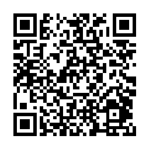 子的眼神总算从沈凡的胯下转移到了沈凡的脸上二维码生成