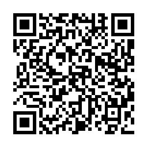 孔雀妖圣体内还有三日前火蚁注入其体内的白色火焰和火毒二维码生成