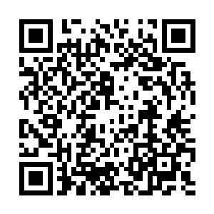 字里行间都能深深感受到你对这部作品的创作热情二维码生成