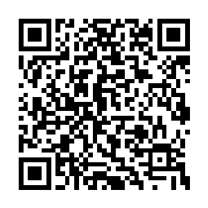 孙和林才小心翼翼的将那一副鸟的骨头放了进去二维码生成