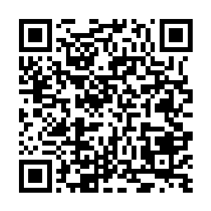 孙夫人早就在培养女儿管家理事和人际交际方面的能力二维码生成