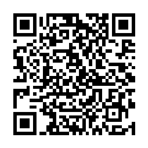 孙子洋看起来哪里还是曾经那个风光无限的银龙殿关二维码生成