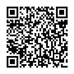 孙子轩下意识的将体内所有的仙力全都灌注到了破禁锥当中二维码生成