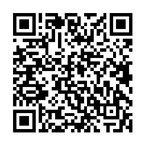 孙子轩从白素贞哪里学到令灵兽幻化成为人形的时候二维码生成