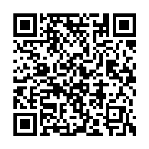 孙子轩再一次指着天空中快要消失的那只鸟问道二维码生成