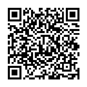 孙子轩只是觉着这伪仙界当中的仙人战斗力比他强一点而已二维码生成