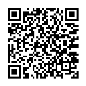 孙子轩和十几位一流门派的门主礼让一番后纷纷落座二维码生成