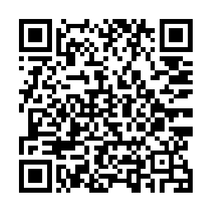 孙子轩和田破抬着受伤的年轻男子匆匆走进了石柱的范围二维码生成