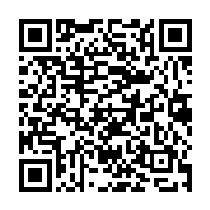 孙子轩如此光明正大的抽取金童和玉女丹田当中的仙力二维码生成