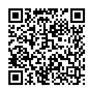 孙子轩就从一个伪仙人变成了一个普普通通的凡人二维码生成