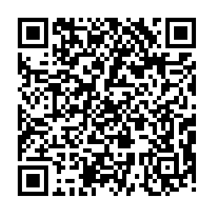 孙子轩很想从口袋里面掏个块八毛的丢给小黑――小黑要是手里面捧着个碗二维码生成