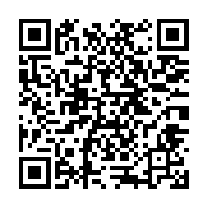 孙子轩怎么可能眼睁睁的看着王斌和清心老道挂掉二维码生成