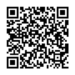 孙子轩控制着魂针持续刺激内隐穴足足五分钟的时间二维码生成