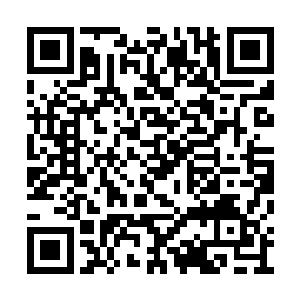 孙子轩的身影出现在了道医裁判所一个角落当中二维码生成