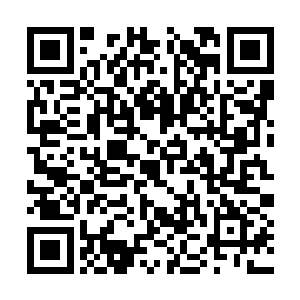 孙子轩看着马路上四处奔驰的车辆和绚烂的霓虹灯二维码生成