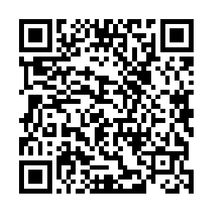 孙子轩虽然之前就已经通过透视之术见过了杨晓芸的面容二维码生成