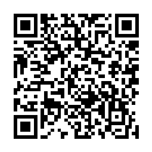 孙子轩这才深深地意识到女人逛街的时候血槽绝对是满着的二维码生成