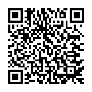 孙子轩顿时感觉自己两条胳膊都陷入到了充满弹性的柔软当中二维码生成
