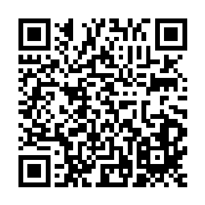 孙子轩顿时明白了这个天地穿梭任意门是个什么样的特殊能力二维码生成