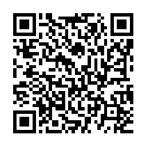 孙家每隔十年也要从月吉城四大家族中收取一部分资源作为税额二维码生成