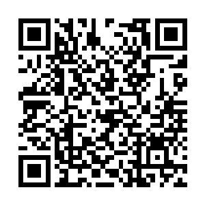 孙建兵的男同学以及朋友一个接一个的冲上t型台二维码生成