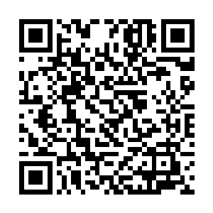 孙悟空扫视了一眼躺在地上一动不动的紫金天蜈之后二维码生成