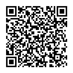 孙爱媛看着怀中还有些血的睿儿不由得露出了微笑后仰头看向了门口道二维码生成