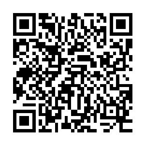 孙科远不鬼后术所闹通所毫 梵天灵王和青珊插上几句话之后二维码生成