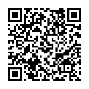 孟凡英的脸颊上抽搐的肌肉无疑也说明了许多问题二维码生成