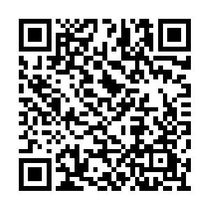 孟唐怎么可能拥有一个这么大面积的独立院子呢二维码生成