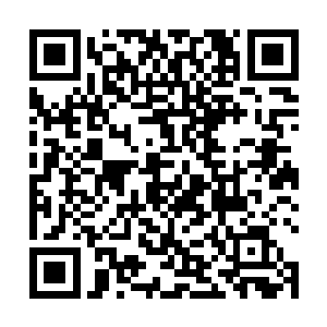 孟奇含笑看着小小年纪便有几分玉树临风感觉的张师兄二维码生成