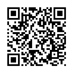 孟奇拿出未成形定海珠和大日焰心二维码生成