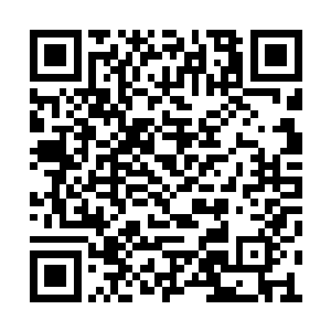 孟奇耳畔突地响起六道轮回之主冷漠无情的声音二维码生成