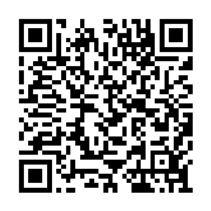 孟家几乎有大半的力量都已经掌握在他的手中了二维码生成