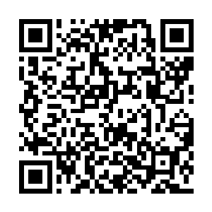 孟猊虽然未能从这红袍公子身上感应到灵力波动二维码生成