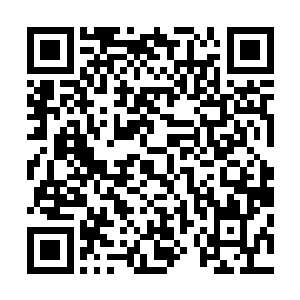 季婉茹也不知道她自己怎么就会在这一棵歪脖子树上吊死了二维码生成