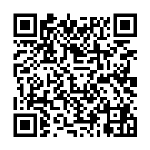 季明两人还以为赵虎找打了需要的药材而兴奋不已二维码生成