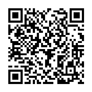 季泽爵二人目光极其火热的盯着这两团紫红色雷火二维码生成