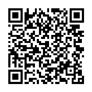 季泽爵深知朱翎雨并不是很习惯这样被人当做珍宝一样欣赏二维码生成