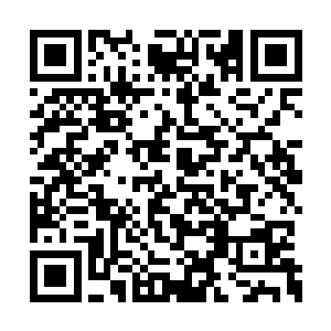 季疏云是在社会主义下长大的苗正根红的好青年二维码生成