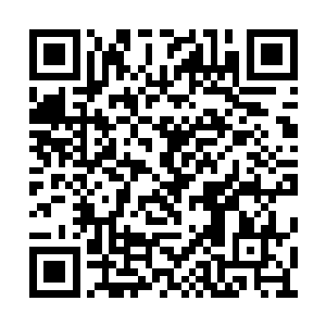 季若离的身上猛地绽放出了一道道冰蓝色的气息二维码生成